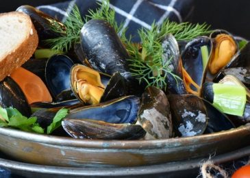 Quelle est la bonne période pour trouver des moules fraîches ?