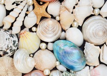 Quelques méthodes efficaces pour nettoyer et entretenir les bijoux en ivoire