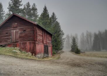 Conception et construction de bâtiments agricoles : allier fonctionnalité et durabilité