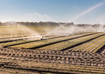 Maximisez vos récoltes avec des systèmes d&rsquo;irrigation efficaces