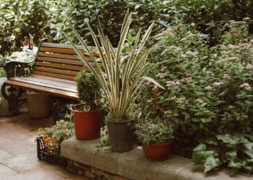 Aménagement d’espace vert : sublimer votre jardin facilement