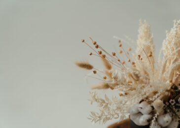 Fleurs séchées : tendances déco pour un intérieur chaleureux