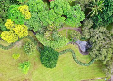 Création d’espace vert : styles et aménagements tendance