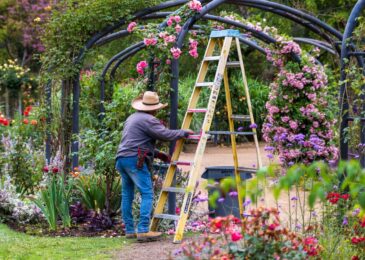 Entretien de jardin : comment limiter les mauvaises herbes ?