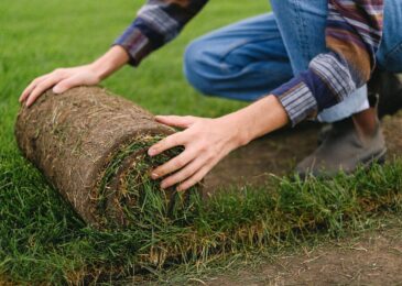 Quand faire la plantation de gazon pour une pelouse durable ?
