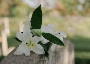 Fleuriste funéraire : quelles fleurs choisir pour un hommage réussi ?