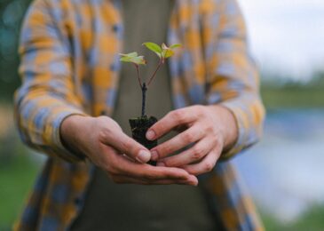 Reboisement local : pourquoi investir dans un projet durable ?