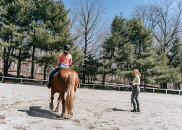 Cours d’équitation : progresser vite grâce aux bonnes méthodes