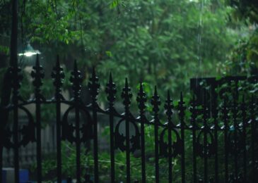 Clôture : comment choisir le modèle idéal pour votre terrain ?