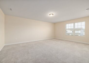 Injection-extraction ou méthode bonnet : choisir la bonne technique de shampoing moquette