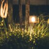 Avantages sécurité de l&rsquo;éclairage basse tension 12V au jardin