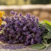 Les plantes aromatiques françaises : Lavande, Immortelle, Sauge